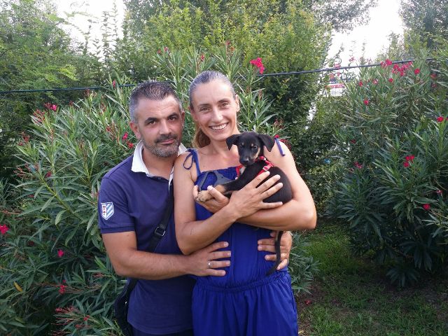 Buona vita cucciolo!